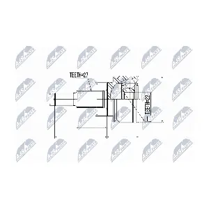 NTY NPZ-RE-038