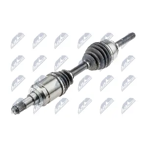 NPW-TY-145 NTY