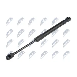 AE-MS-009 NTY