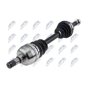 NTY NPW-PL-173