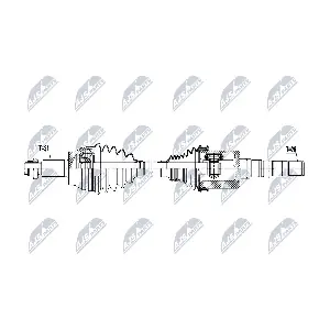NTY NPW-LR-031