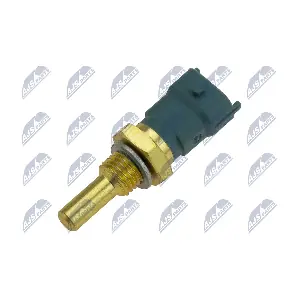 NTY ECT-CH-006