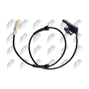 HCA-PE-006 NTY