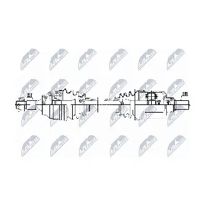 NPW-CT-053 NTY