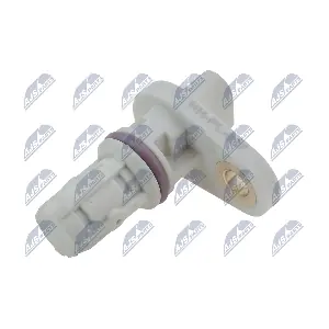 ECP-PL-027 NTY