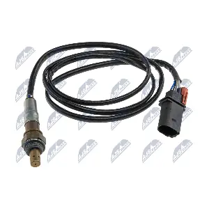 ESL-AU-017 NTY