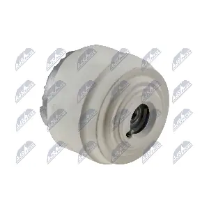 ZPS-ME-087 NTY