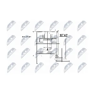 NPW-NS-001 NTY