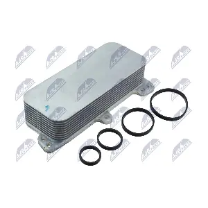 CCL-AU-003 NTY