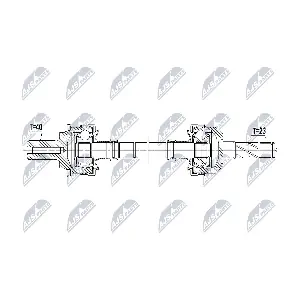 NPW-VV-168 NTY