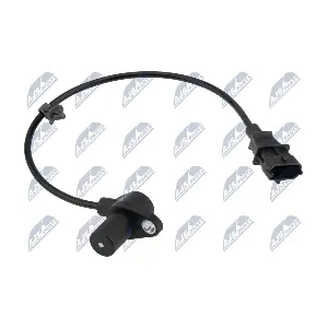 ECP-HY-024 NTY