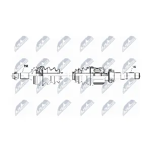 NTY NPW-CT-123