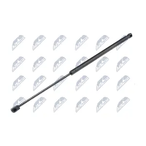 AE-MS-002 NTY