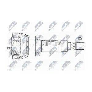 NPW-FR-081 NTY