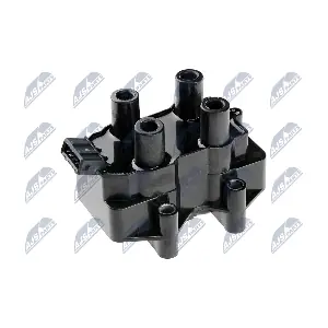 NTY ECZ-PL-009