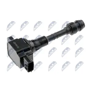 ECZ-NS-021 NTY