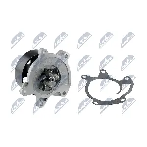 NTY CPW-NS-087