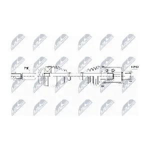 NPW-CH-082 NTY