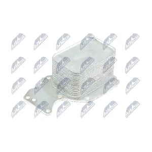 CCL-BM-024 NTY