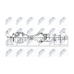 NPW-VV-019 NTY