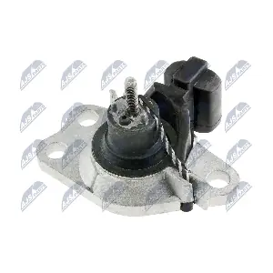 ZPS-RE-051 NTY