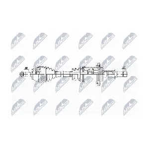 NPW-ME-029 NTY