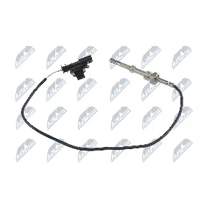 EGT-VV-007 NTY