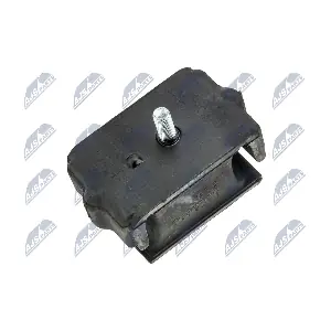 ZPS-MZ-061 NTY