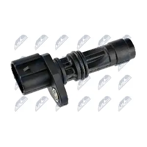 ECP-NS-005 NTY