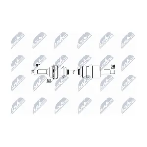 NTY NPW-FR-031