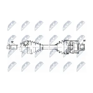 NTY NPW-MZ-051