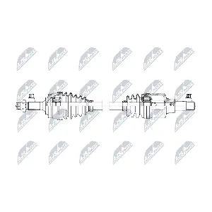 NPW-CT-169 NTY