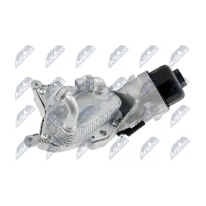 CCL-PL-006 NTY