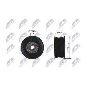 RRK-MS-010 NTY