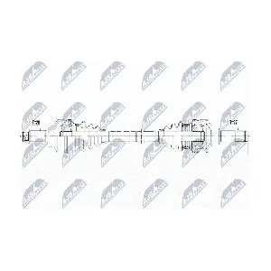 NPW-BM-113 NTY