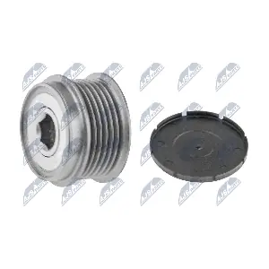 NTY ESA-CH-003