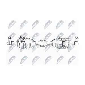 NPW-TY-180 NTY