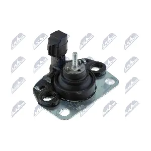 ZPS-RE-126 NTY