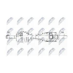 NPW-CT-065 NTY