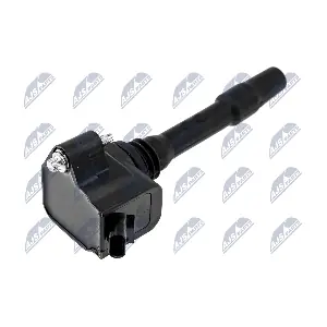 ECZ-BM-012 NTY
