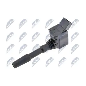NTY ECZ-AU-008