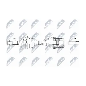 NTY NPW-FR-123