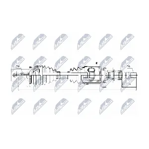 NPW-VV-038 NTY