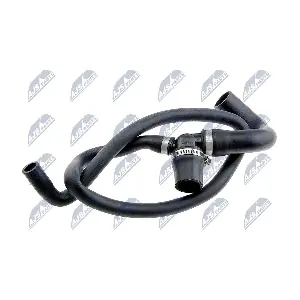 CPP-PL-001 NTY