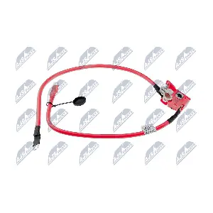 EBP-BM-008 NTY