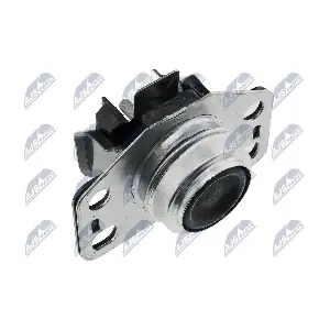 ZPS-RE-025 NTY