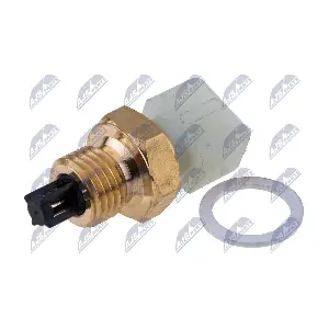 ECT-CH-011 NTY