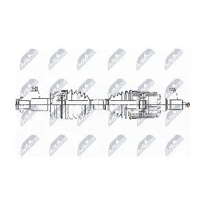 NPW-LR-027 NTY