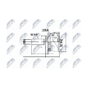 NPZ-NS-038 NTY