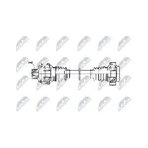 NPW-AU-081 NTY